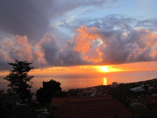 Madeira House Villa Calheta  Rum bild
